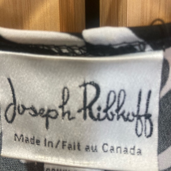 Joseph Ribkoff Size 10 dress. Zebra Print - Picture 3 of 3